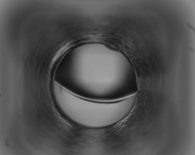 X0000097650150200802290855