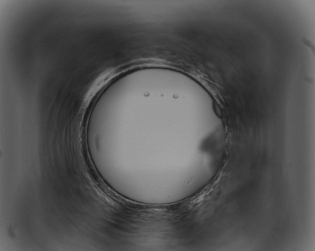 X0000097650151200802290855