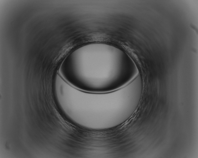 X0000097650154200802290855