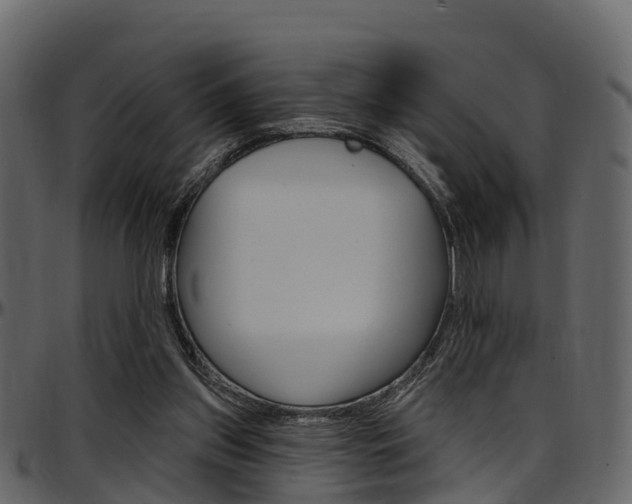 X0000097650157200802290855