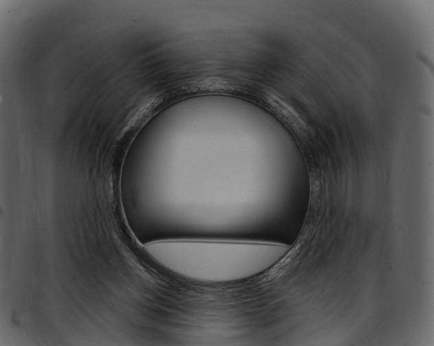 X0000097650158200802290855