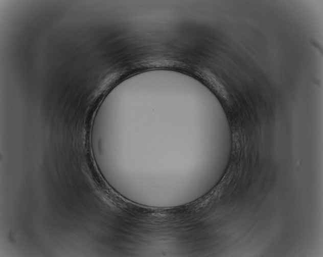 X0000097650159200802290855