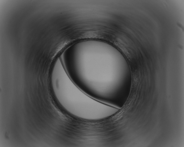 X0000097650160200802290855