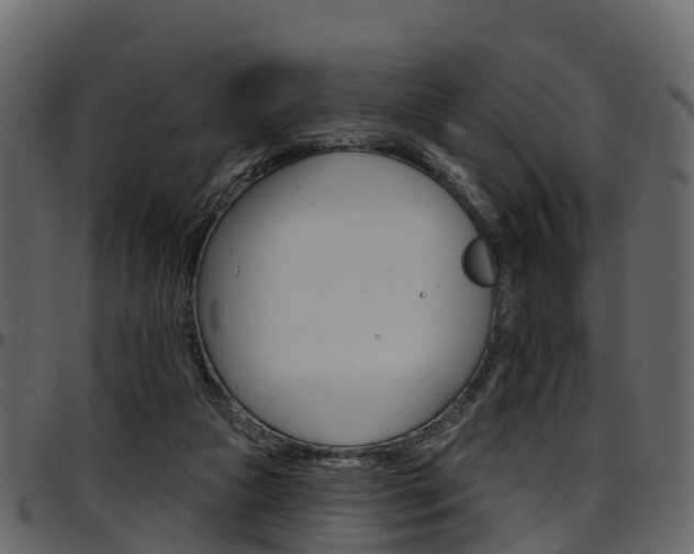 X0000097650161200802290855