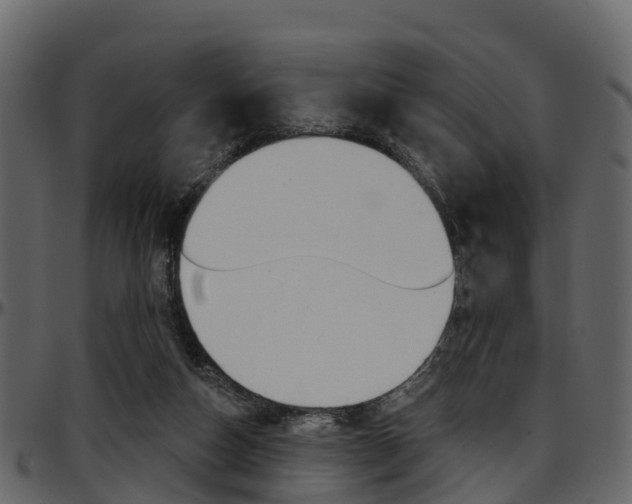 X0000097650162200802290855