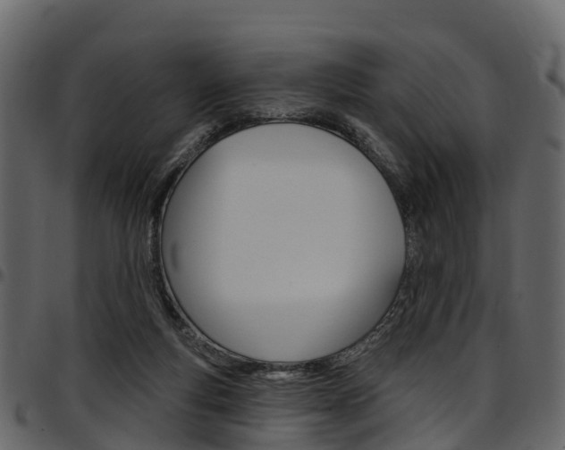 X0000097650163200802290855