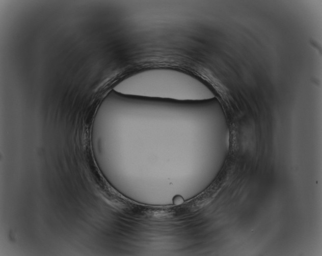 X0000097650165200802290855