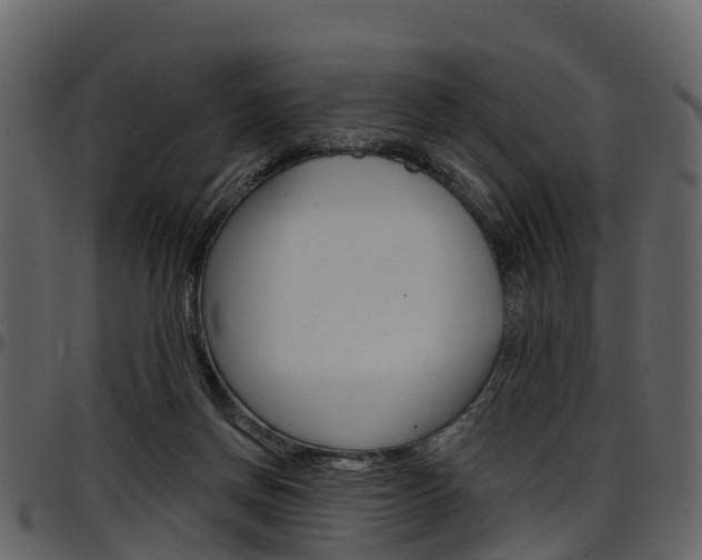 X0000097650166200802290855