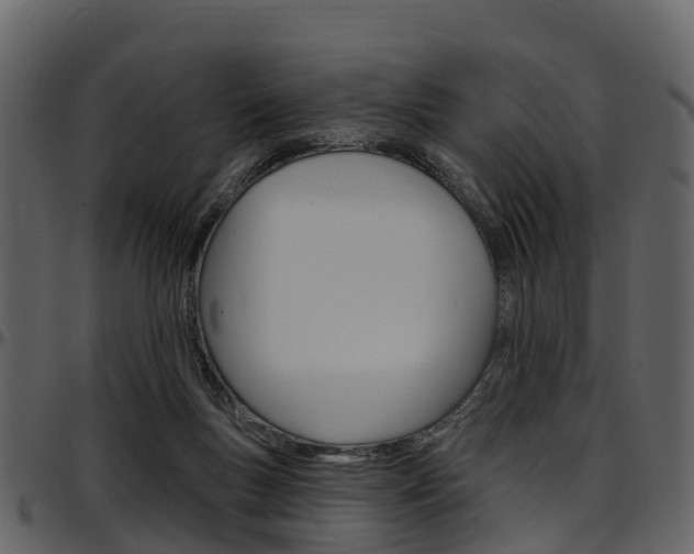 X0000097650167200802290855