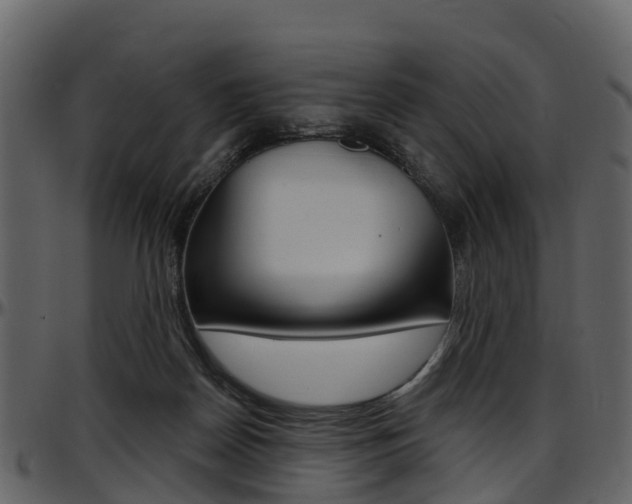X0000097650170200802290855