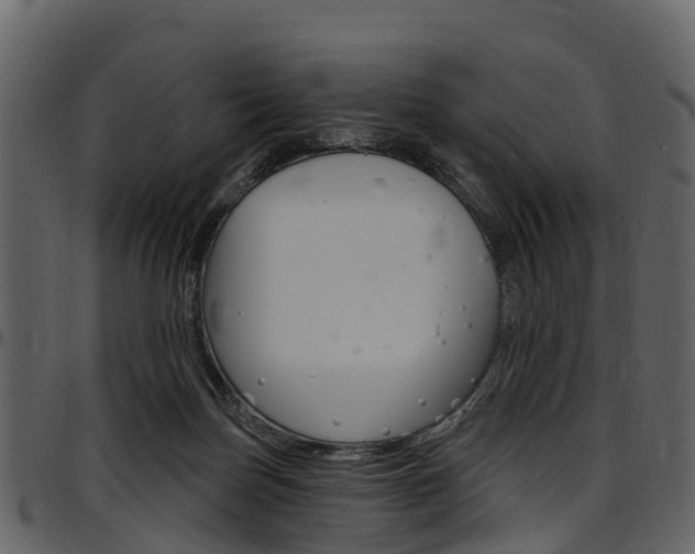 X0000097650171200802290855