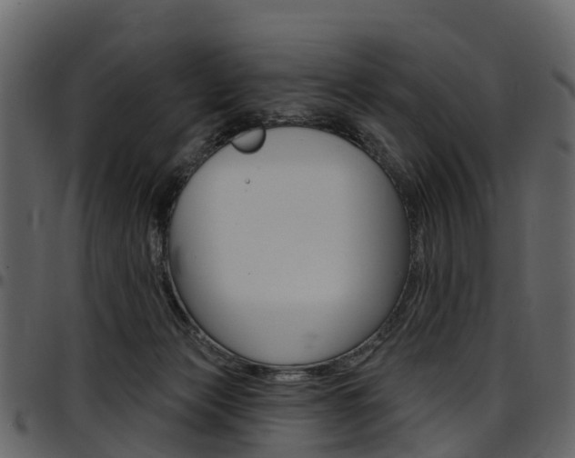 X0000097650173200802290855