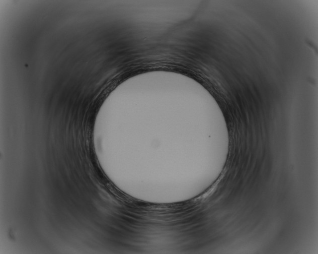 X0000097650174200802290855