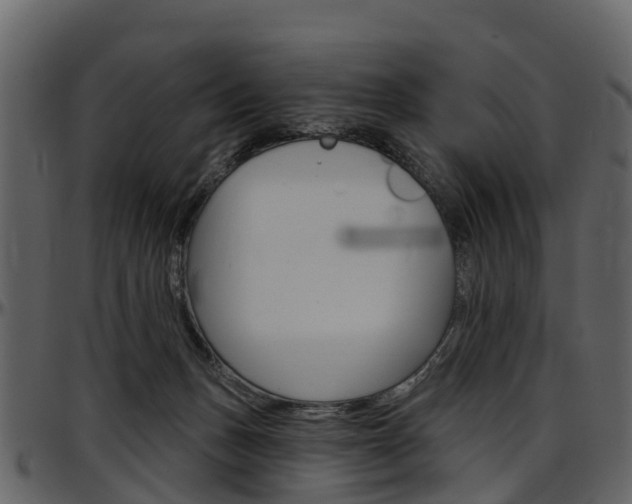 X0000097650175200802290855