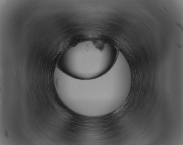 X0000097650176200802290855