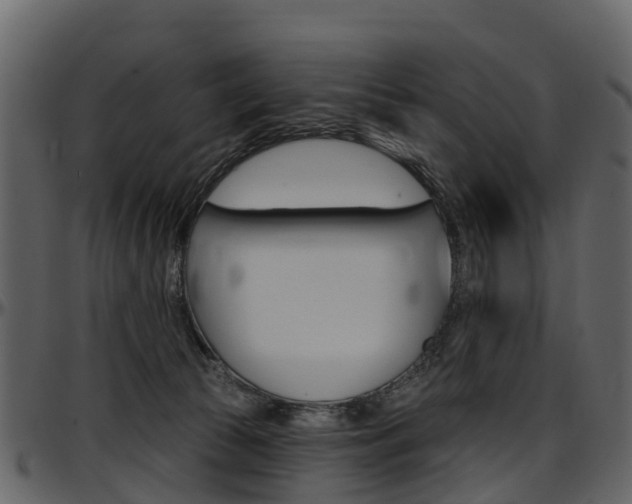 X0000097650177200802290855
