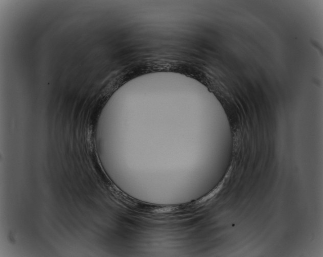 X0000097650178200802290855