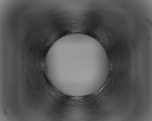 X0000097650179200802290855