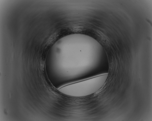 X0000097650180200802290855