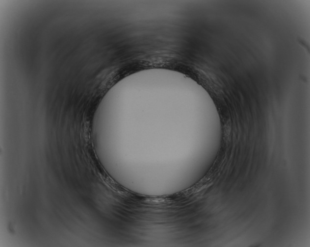 X0000097650181200802290855