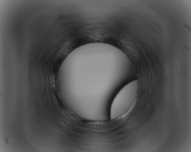 X0000097650182200802290855