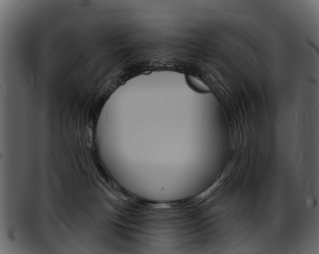 X0000097650183200802290856