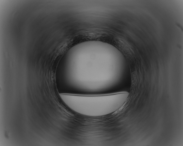 X0000097650184200802290856