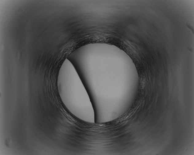 X0000097650185200802290856