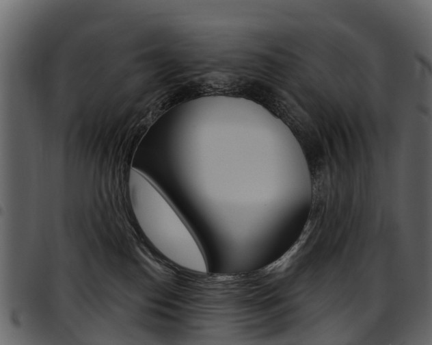 X0000097650186200802290856