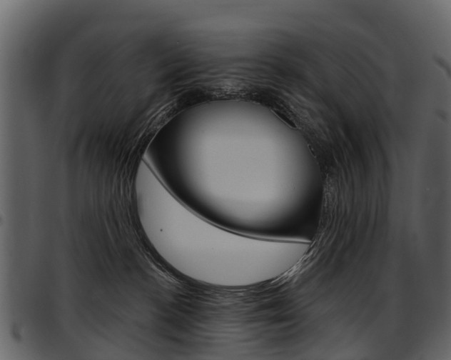 X0000097650188200802290856