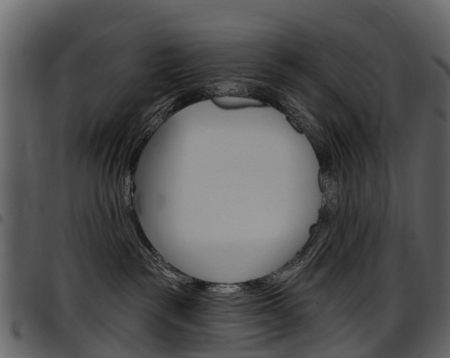 X0000097650189200802290856