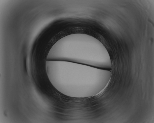 X0000097650190200802290856