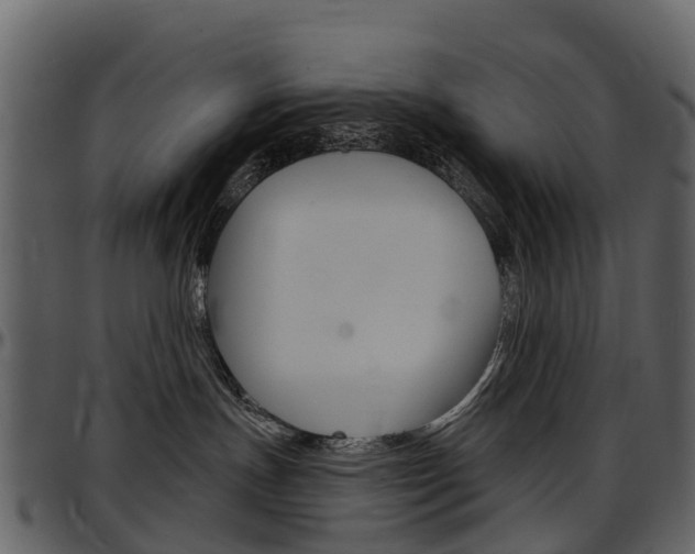 X0000097650191200802290856