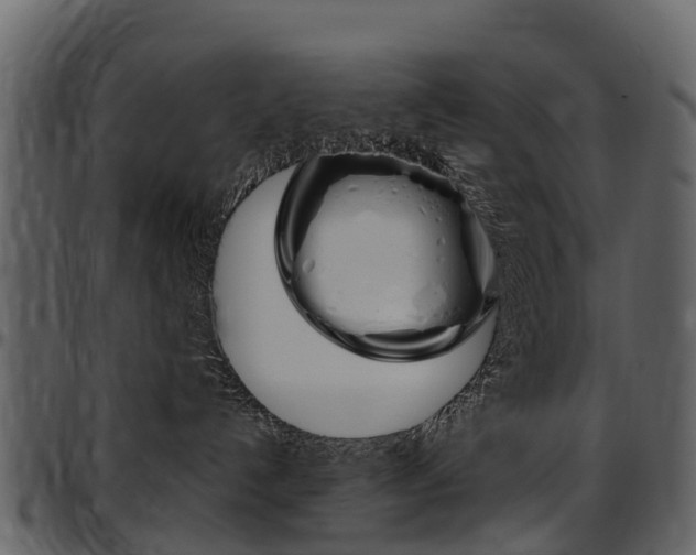 X0000097650192200802290856