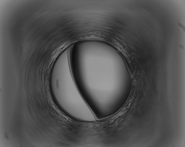 X0000097650193200802290855