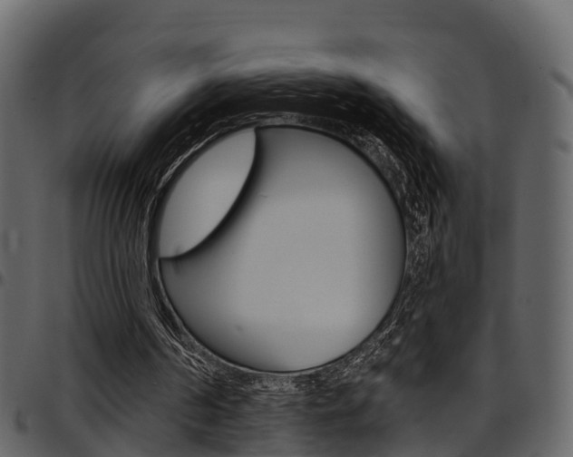 X0000097650194200802290855