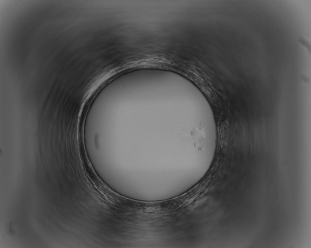 X0000097650196200802290855