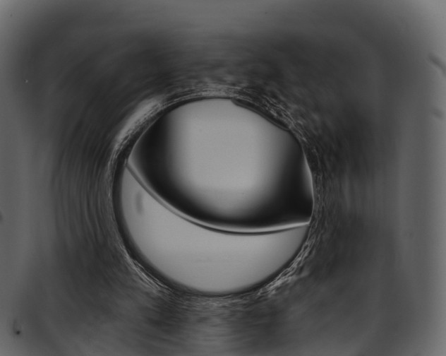 X0000097650197200802290855