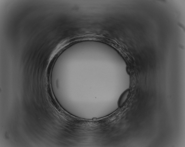 X0000097650198200802290855