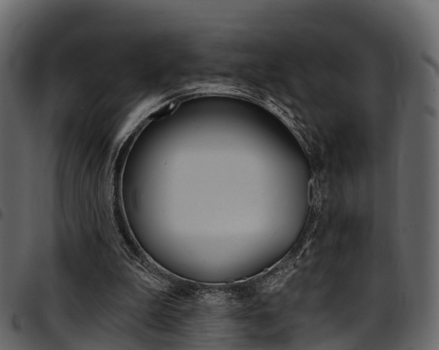 X0000097650199200802290855