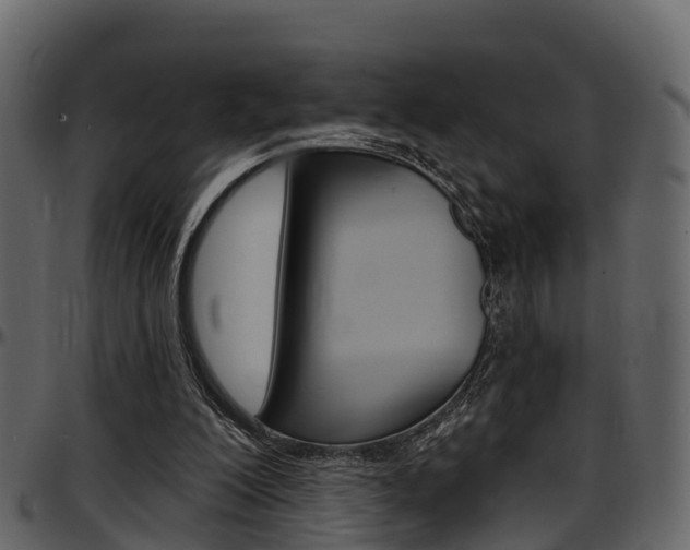 X0000097650200200802290855