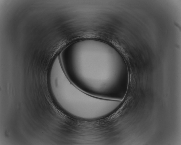 X0000097650201200802290855