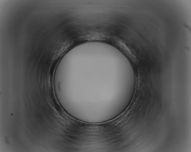 X0000097650202200802290855