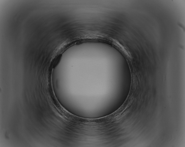X0000097650203200802290855