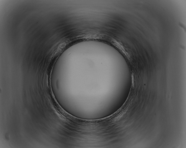 X0000097650205200802290855