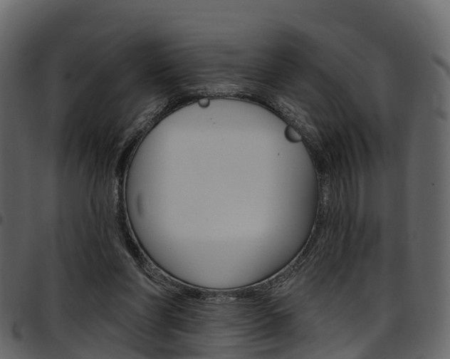 X0000097650206200802290855