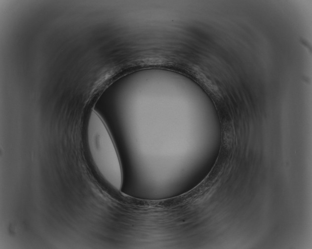 X0000097650207200802290855