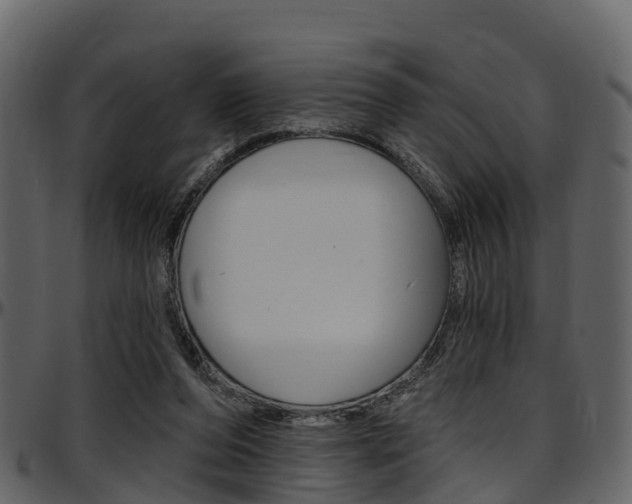 X0000097650208200802290855