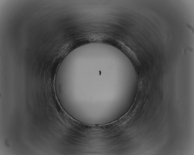 X0000097650209200802290855