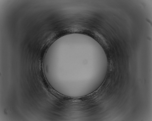 X0000097650210200802290855